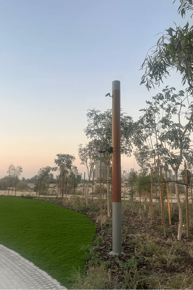 暮色中草坪边缘的纤细灯杆，身后是新植树木与开阔空地