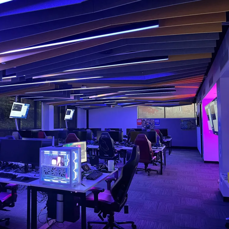 The room in cool blue and violet, battens receding towards the far wall past desks and monitors