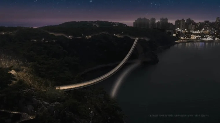 夜间从山坡望向建成的桥体，一道纤细的白色弧线横跨幽暗的海湾，对岸是城市灯火