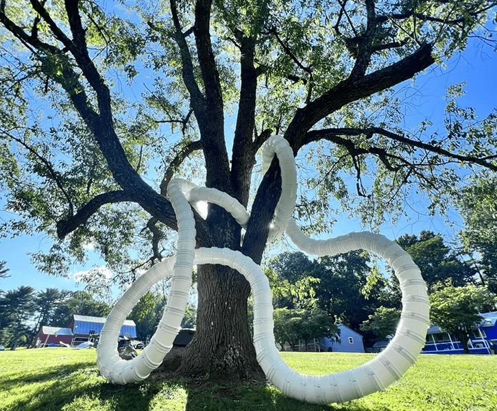 夏日草坪上，未点亮的白色管体缠绕在一棵大树的树干上，透过枝叶可见蓝天