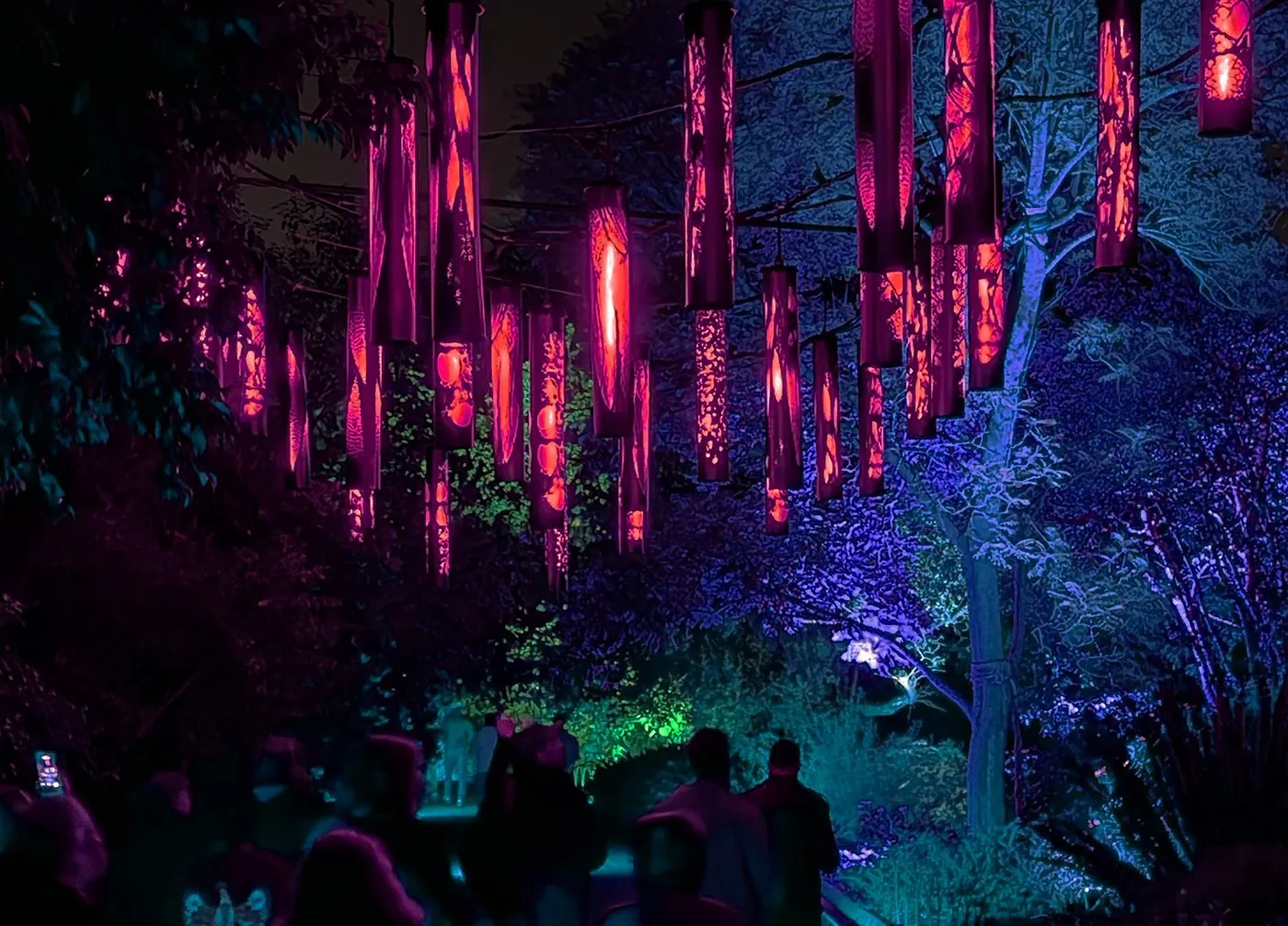 The lantern field lit red and magenta above a crowd walking the path