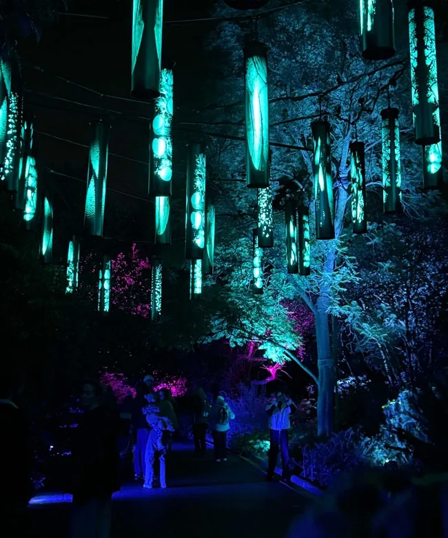 The same lanterns lit cyan, sitting back into the dark tree canopy