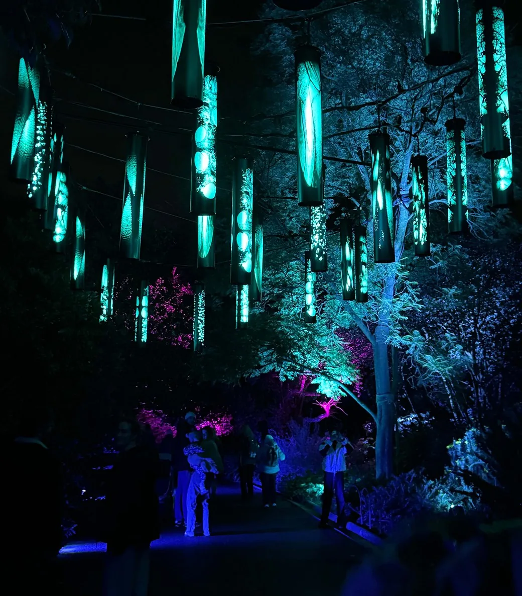 Lanterns lit green above the garden path, the printed imagery showing through