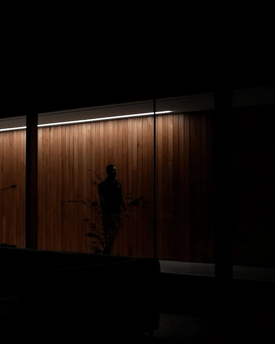 Night view through the glazing, a courtyard plant and the timber cladding mirrored in the dark glass